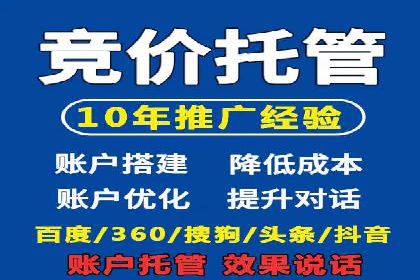 百度竞价账户托管的技巧与策略：从入门到精通的案例解析